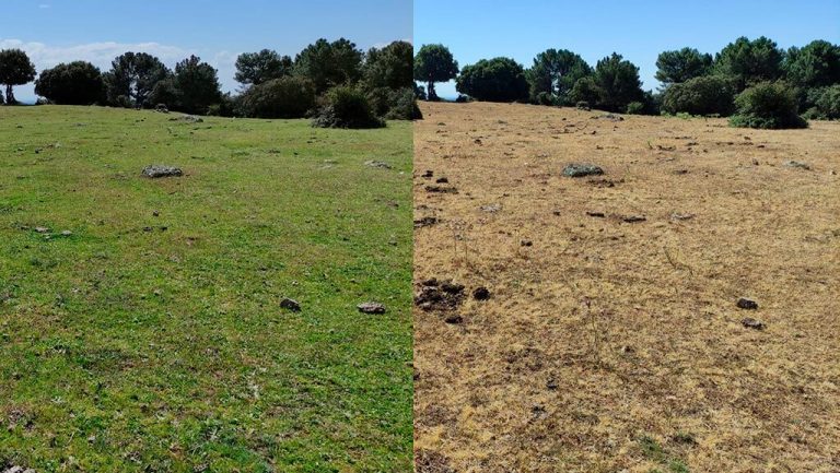 Comparativa visual estado del pasto en Guadarrama