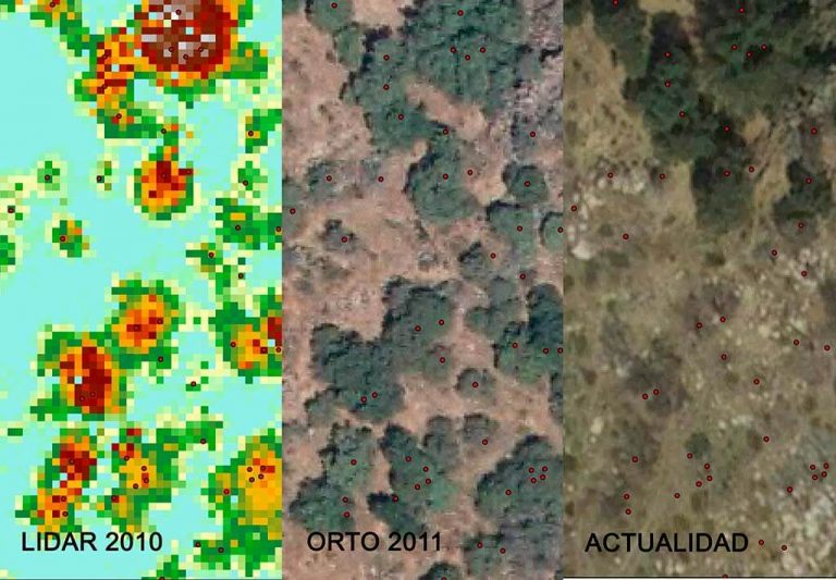 Análisis Lidar antes y después del incendio