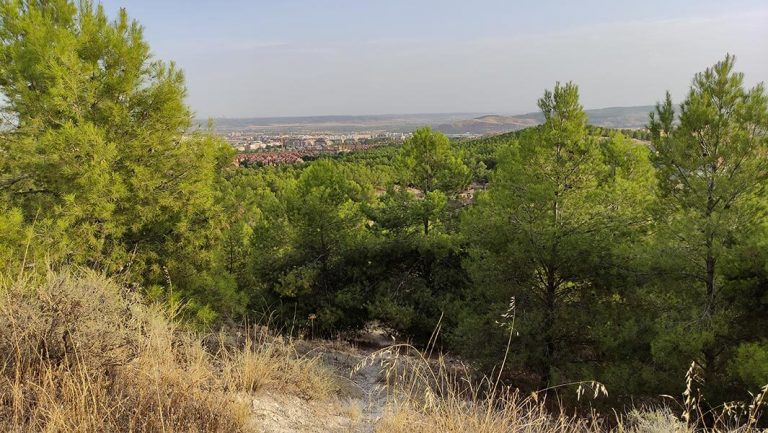 Vista del Pinar y Rivas-Vaciamadrid