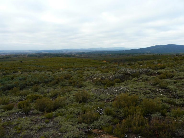 Emplazamiento Planta Solar en la provincia de León