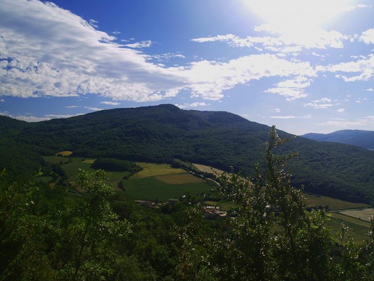 Ordenación de los montes de Sabando (Álava)