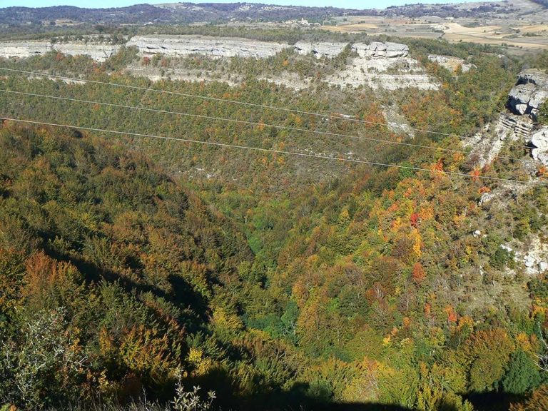 Reserva Forestal de Igoroin