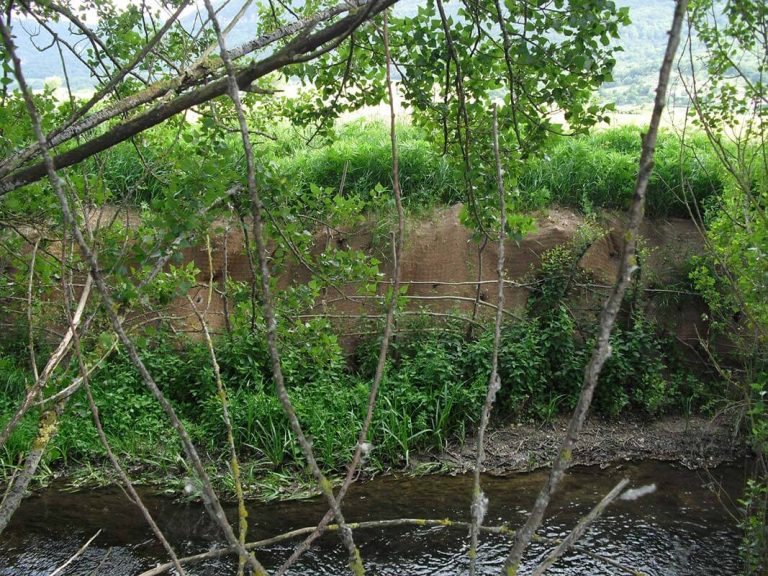 Bioingeniería en el río Zirauntza en Araia (Álava)
