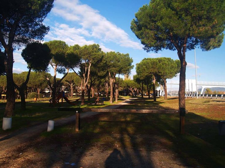 Rutas en el Parque de Navalcarbón en Las Rozas (Madrid)