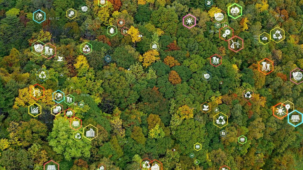 Plan forestal