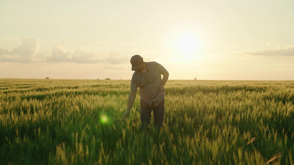 Que es el desarrollo rural
