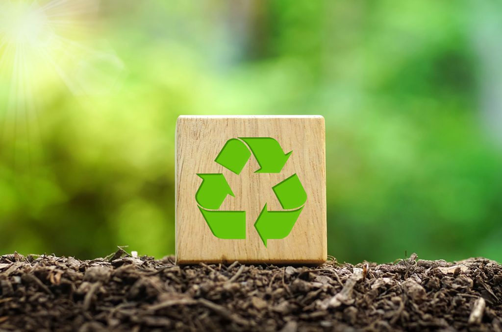 qué es la biomasa forestal