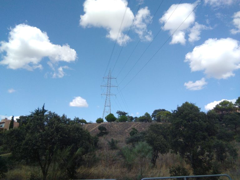 Parcela forestal