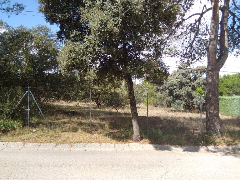 Parcela sin construir bien cuidada