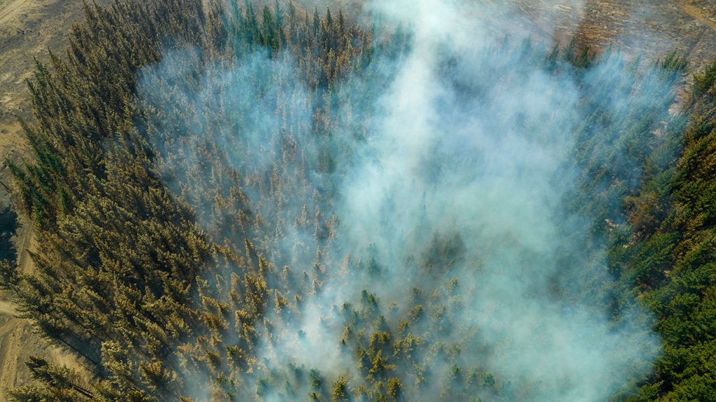 Medidas de prevención de incendios forestales