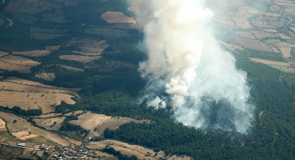 monitoreo de incendio forestal
