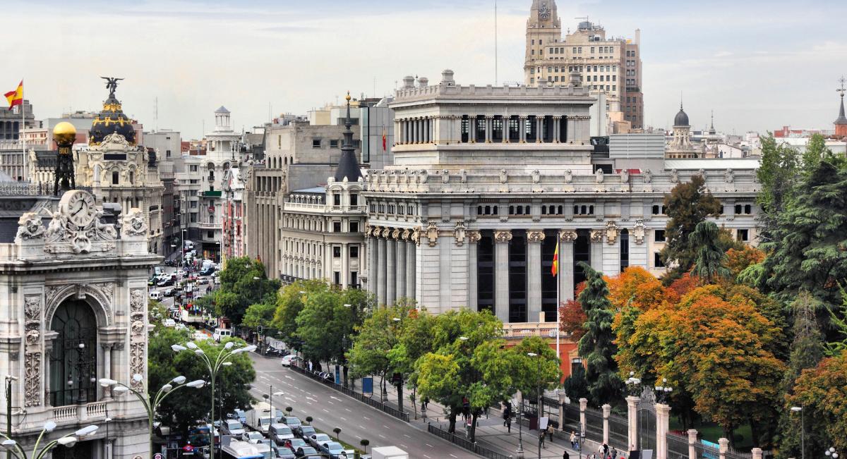 Modificación ley de arbolado urbano de la Comunidad de Madrid