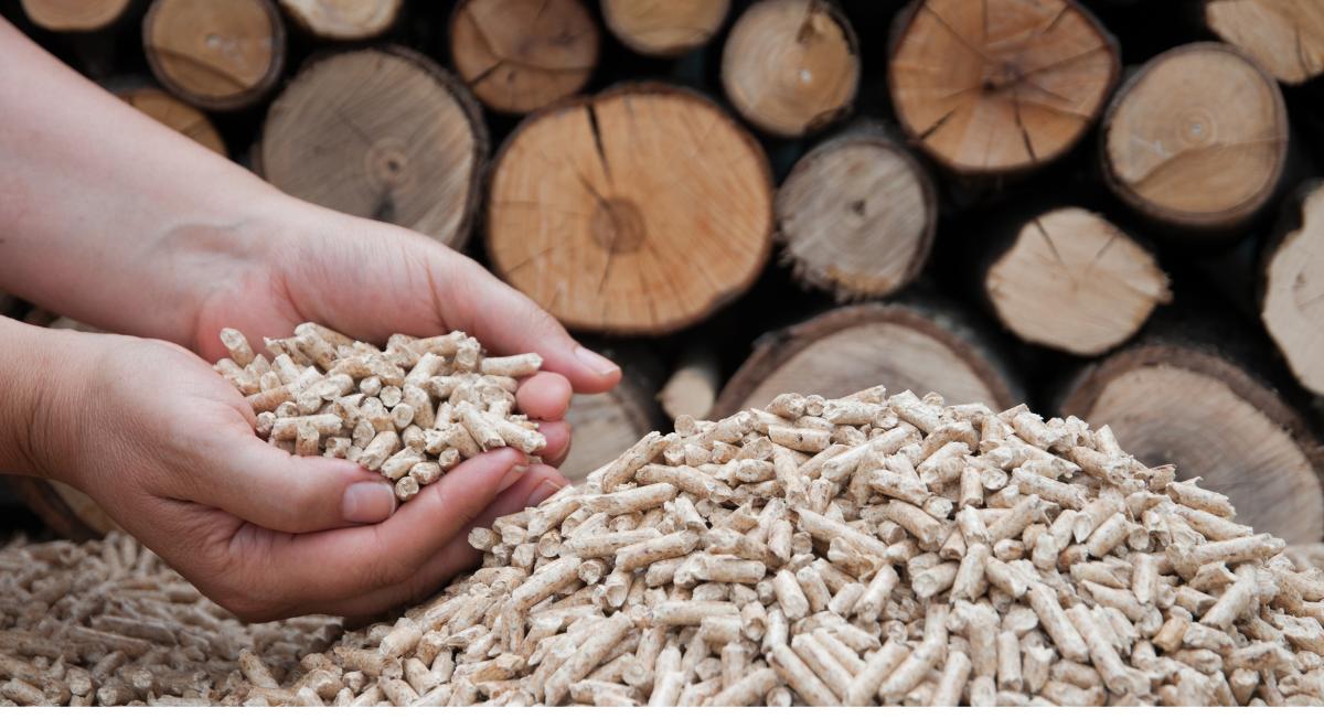 Biomasa forestal y pellets