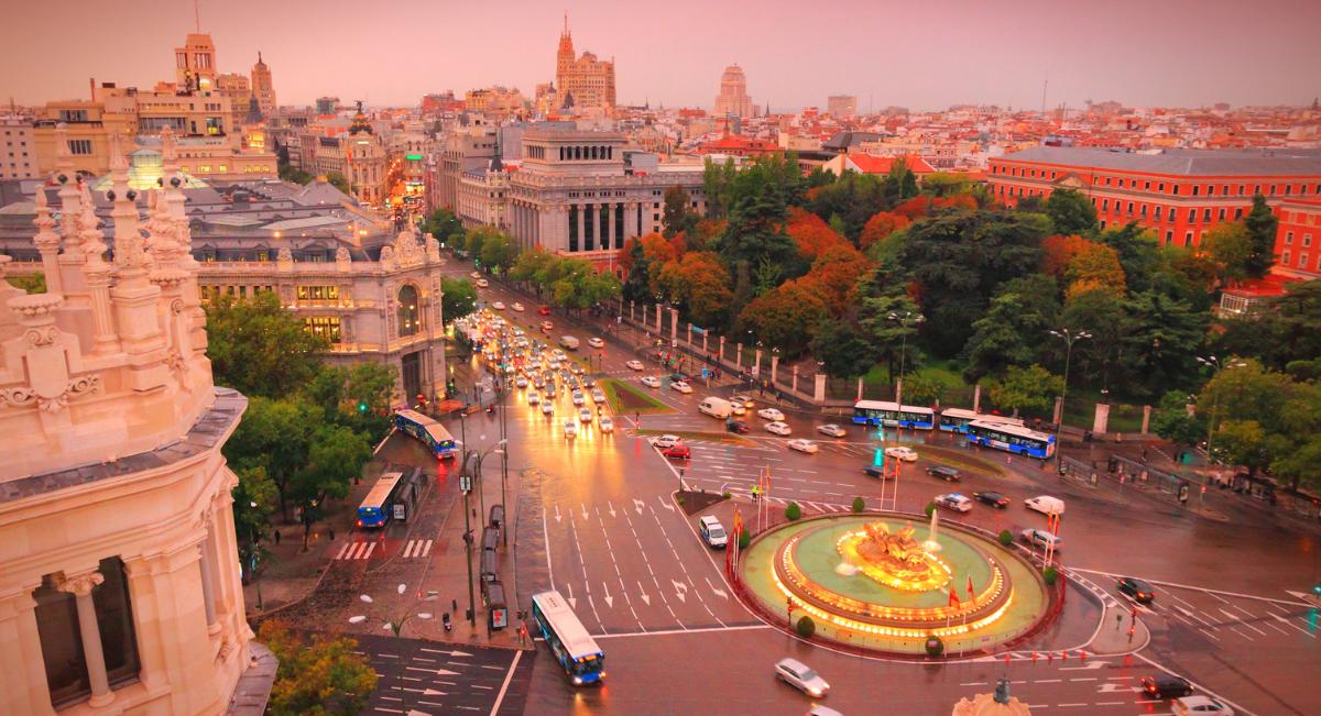 Cortar árboles en Madrid 
