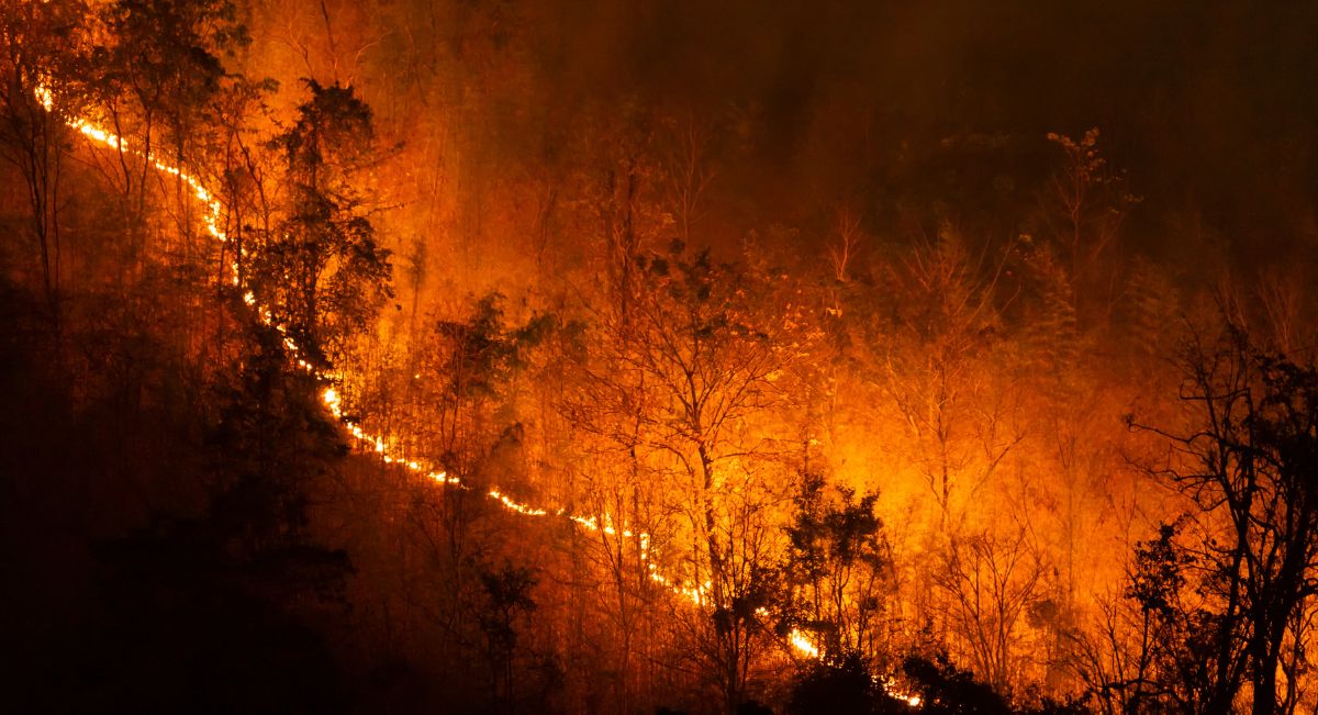 incendios-de-sexta-generacion