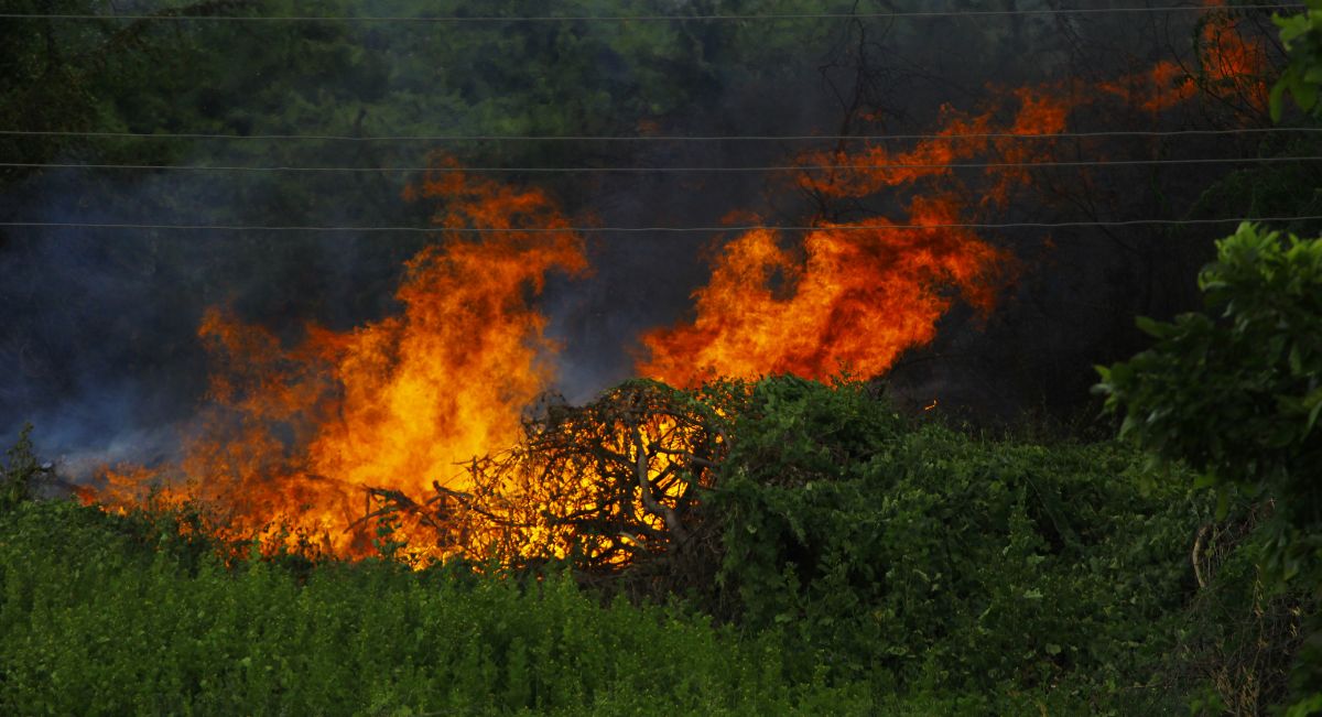 Incendios forestales en España
