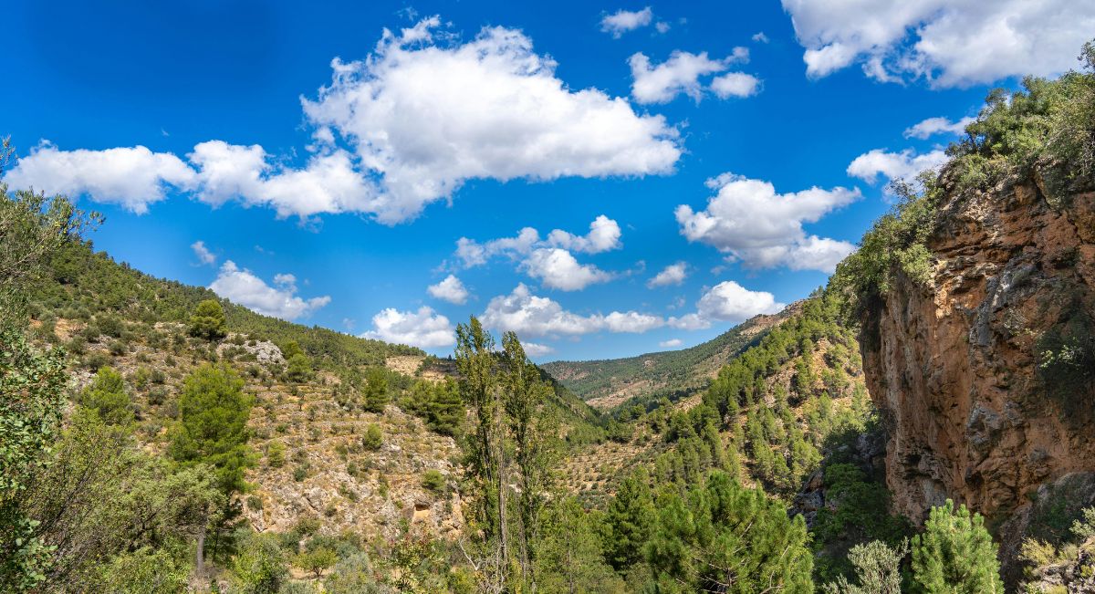 PAMIF en Castilla-La Mancha