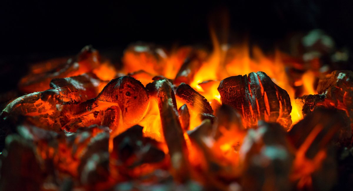 Plan de autoprotección contra incendios forestales en campings