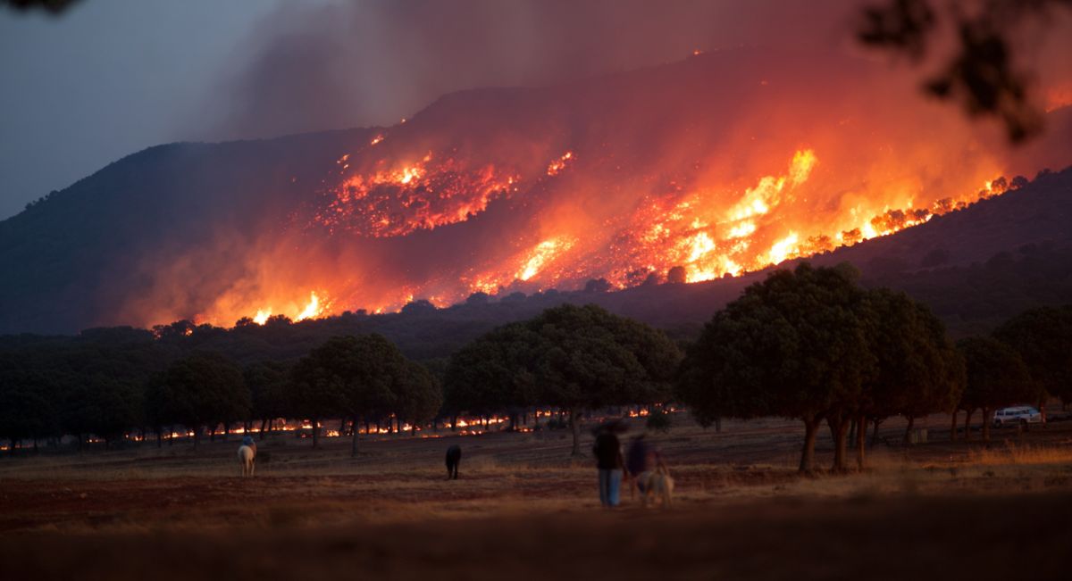Planes de autoprotección por riesgo de incendios forestales en Castilla y León